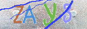 صورة الكابتشا