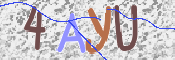 صورة الكابتشا